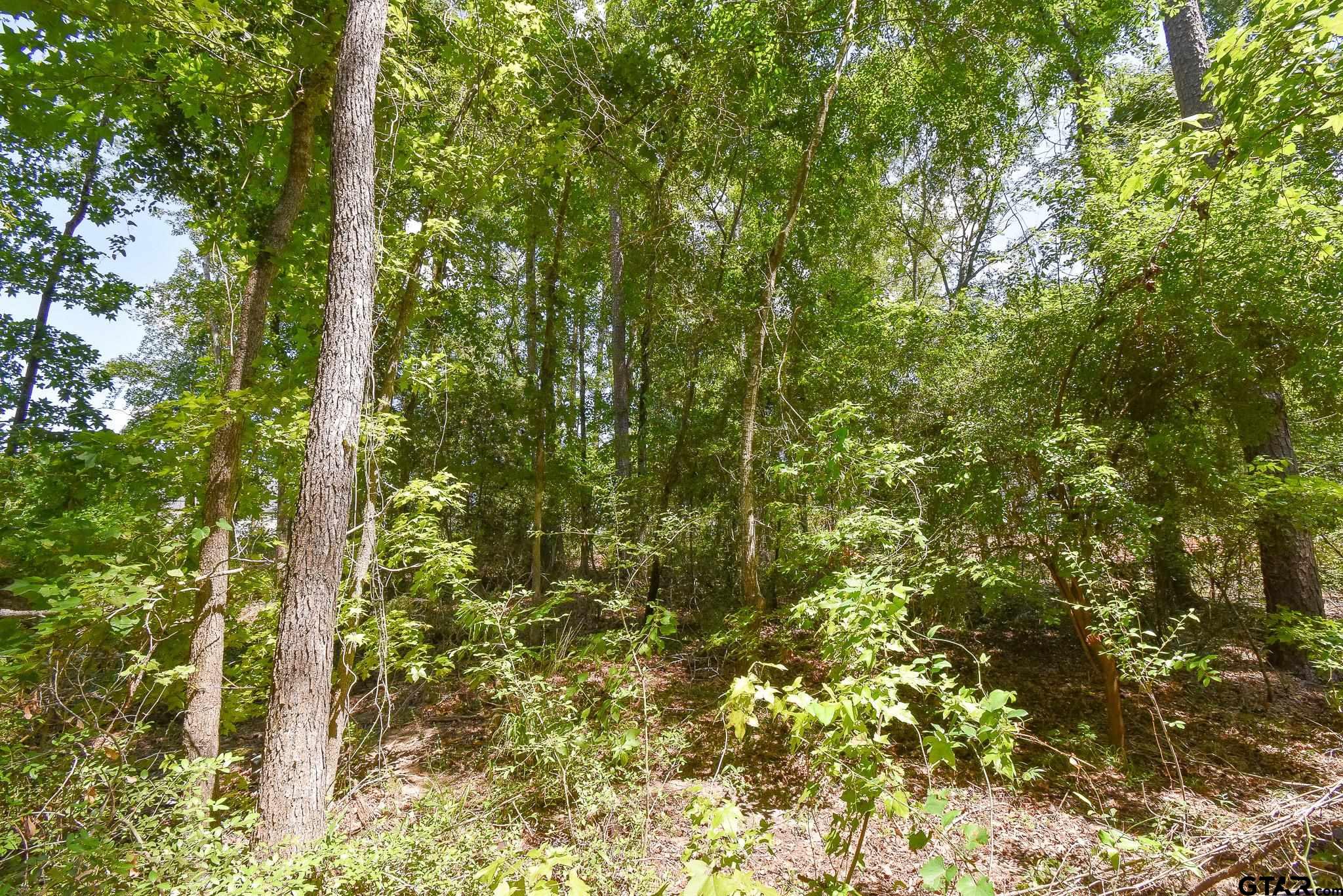 7933 Maple Lane Tyler, TX 75703 - Photo 6 of 10