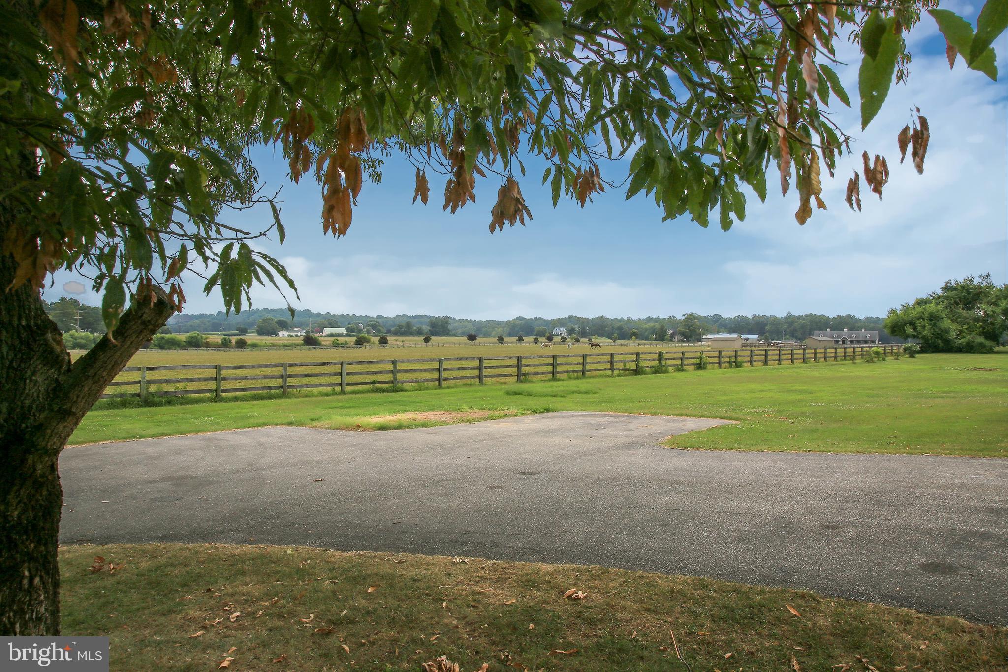 1543 Governor Bridge Road Davidsonville, MD 21035 - Photo 40 of 42 View across the front yard