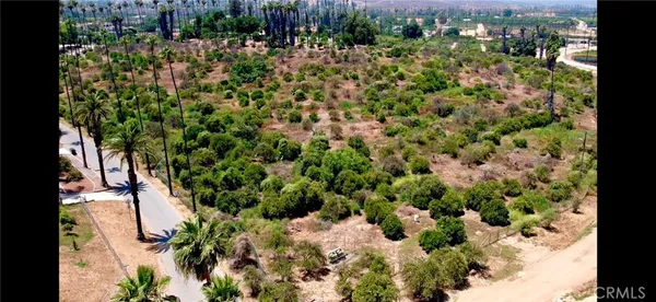 a view of a garden with plants