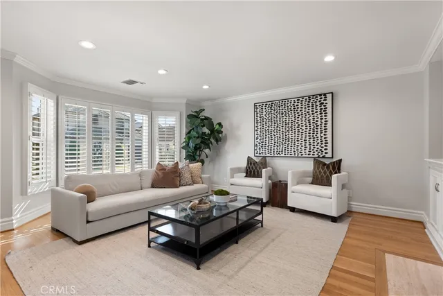 a living room with furniture potted plant and a lamp