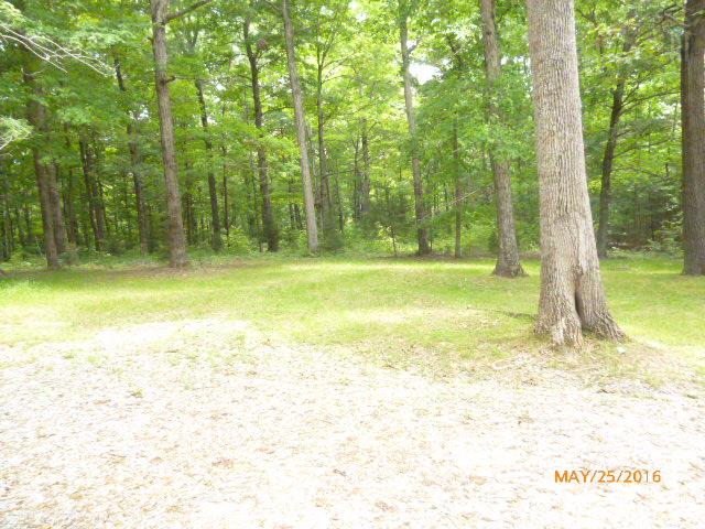 450 West Piney Road Dickson, TN 37055 - Photo 8 of 29 a view of a swimming pool with a yard and large trees