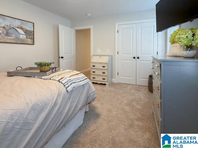 205 Macdonald Court Springville, AL 35146 - Photo 33 of 69