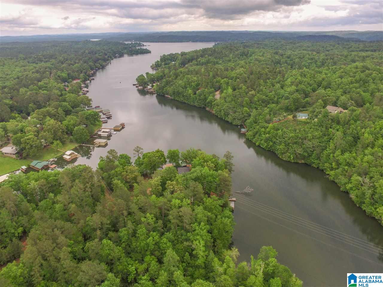 1631 County Road 485 Clanton, AL 35046 - Photo 10 of 15