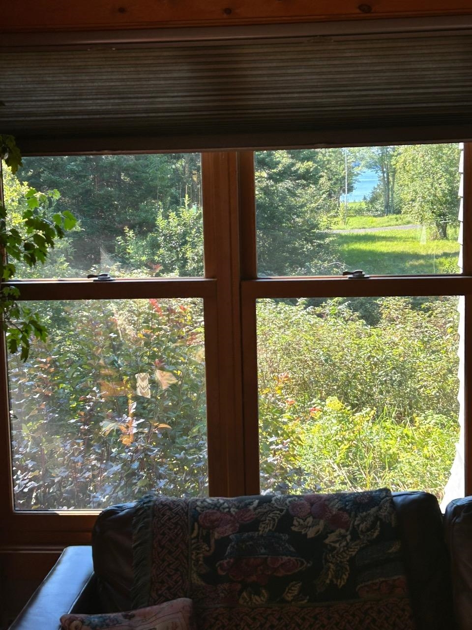 89095 Aster Road Cornucopia, WI 54827 - Photo 19 of 37 Westerly view from living room