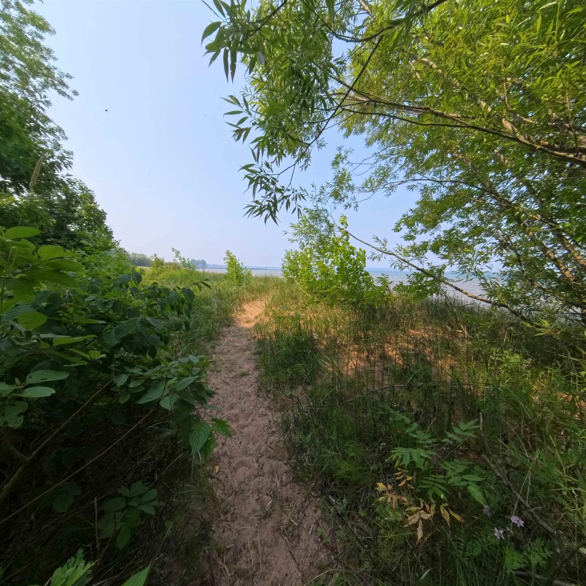 89095 Aster Road Cornucopia, WI 54827 - Photo 35 of 37 View of nature