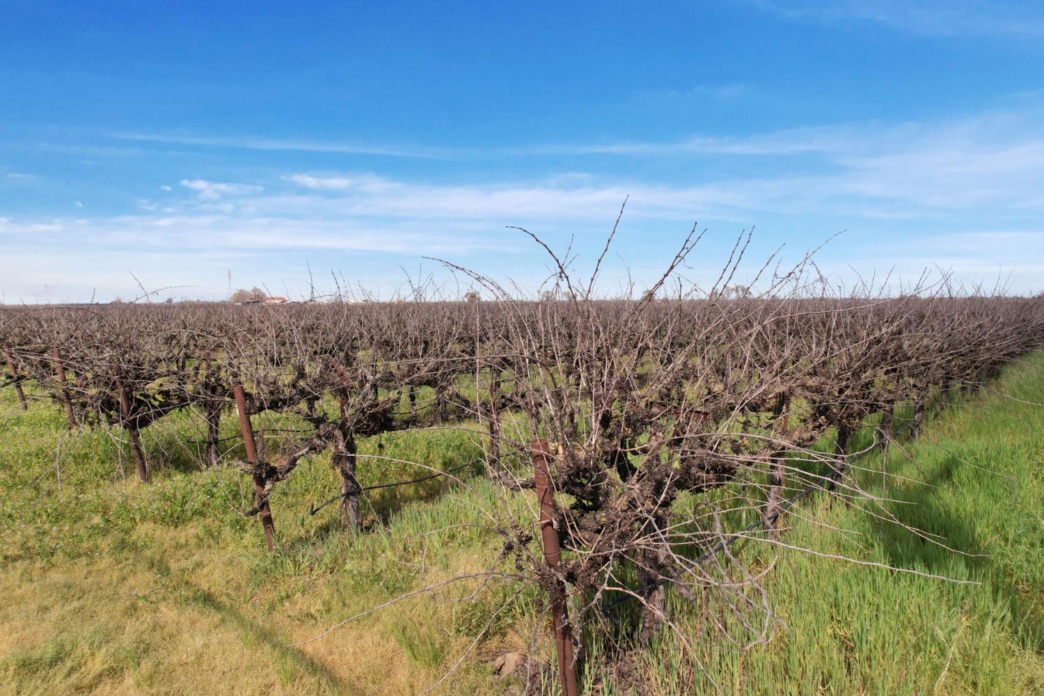 4923 West Acampo Road Lodi, CA 95242 - Photo 12 of 17 a view of ocean