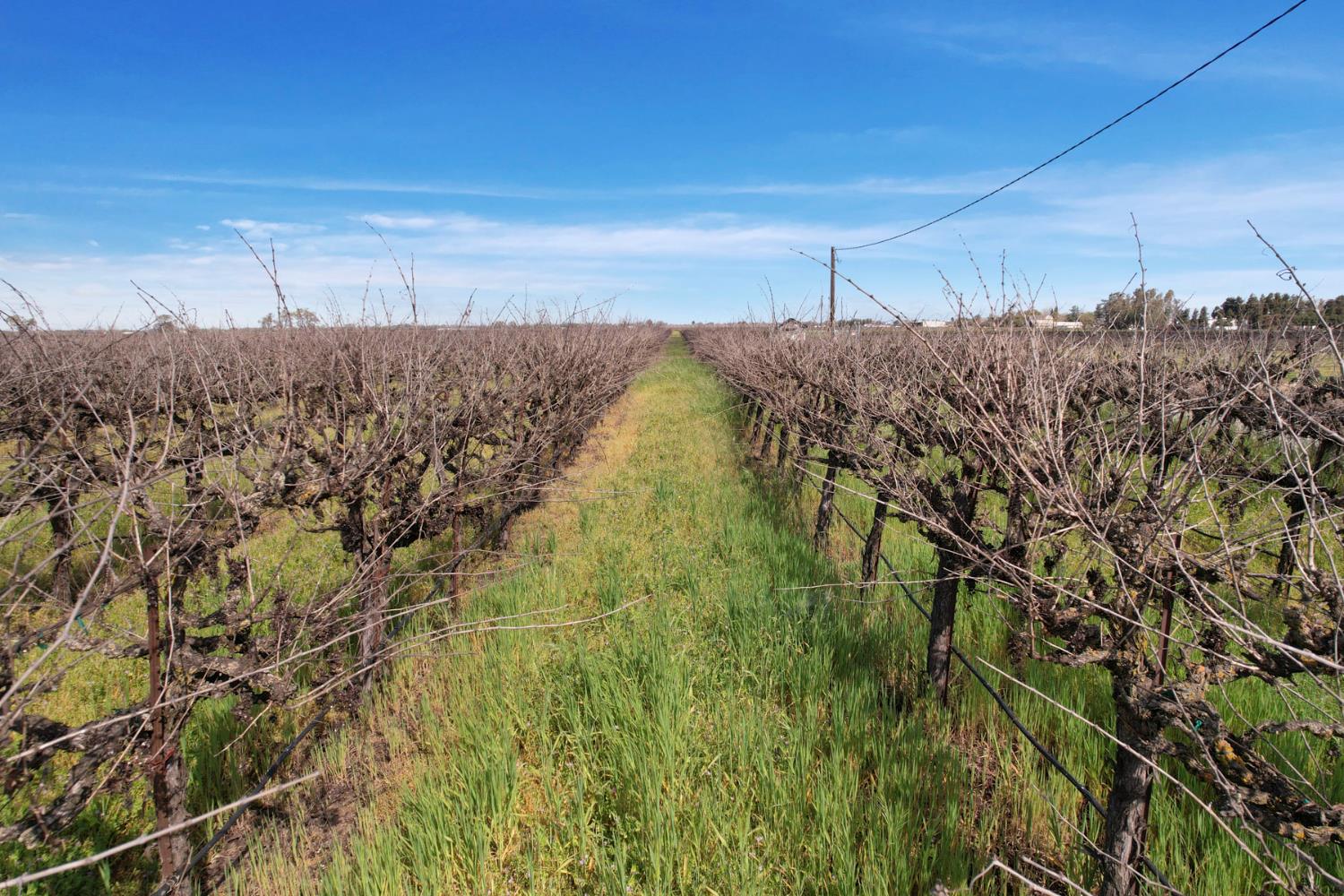 4923 West Acampo Road Lodi, CA 95242 - Photo 13 of 17 a view of a pathway of a building