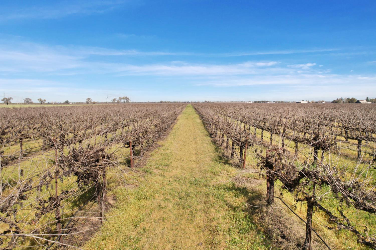 4923 West Acampo Road Lodi, CA 95242 - Photo 2 of 17 view of city and mountain