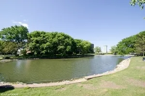 a view of a lake from a yard