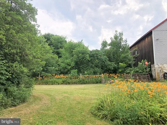 a view of a garden with an outdoor space