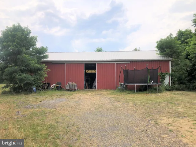 a view of a backyard with plants and large tree