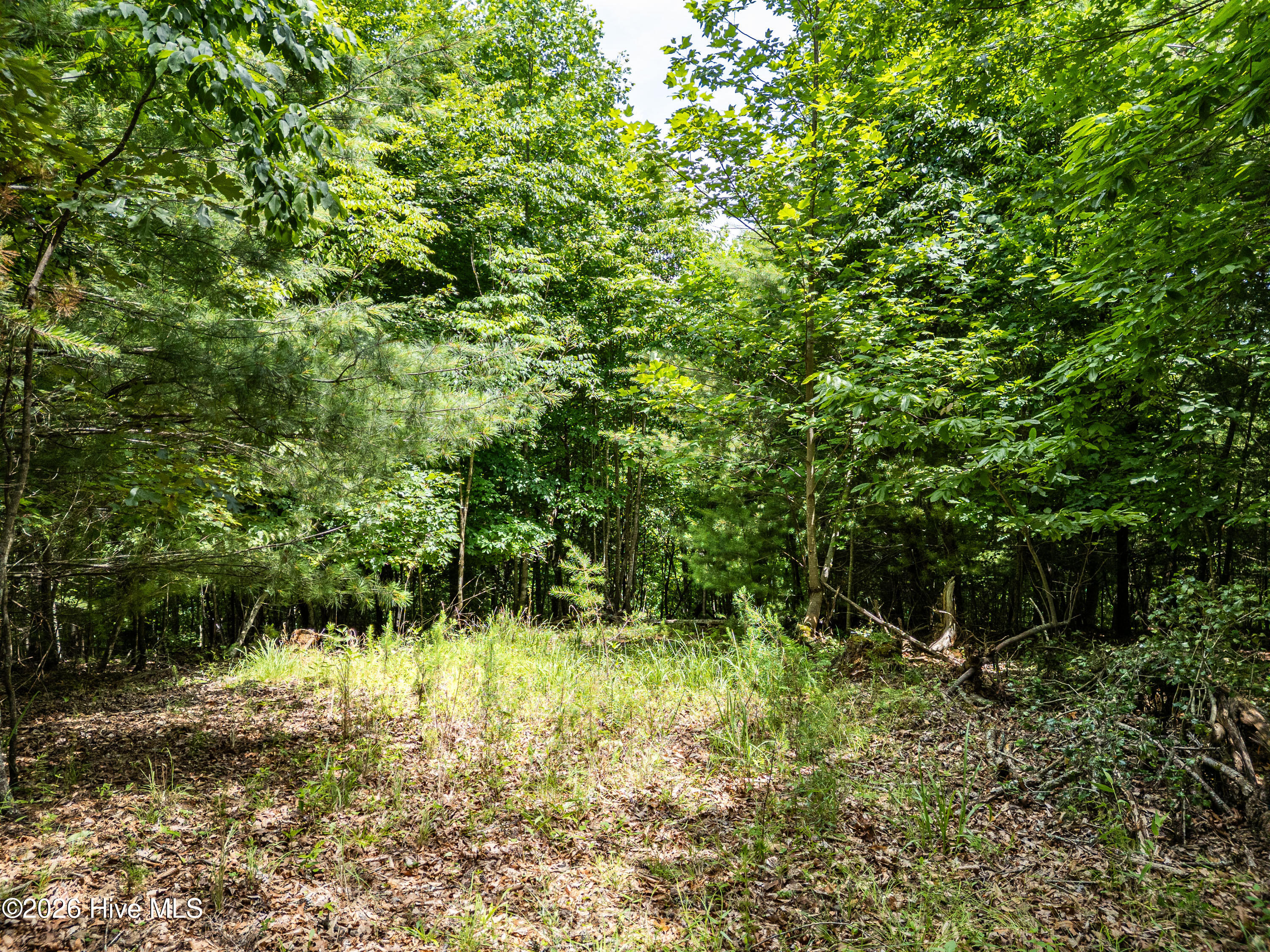 2 Stormy Ridge Brasstown, NC 28902 - Photo 9 of 17 Gallery Image 9