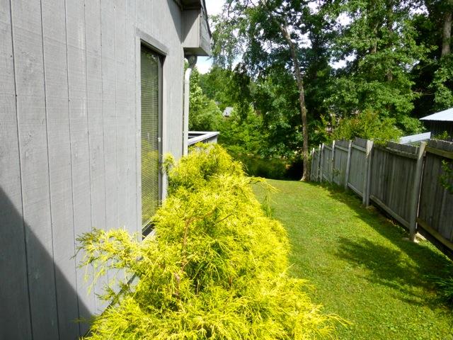 118 Fredonia Road Manchester, TN 37355 - Photo 17 of 18 Nice yard front, side and back. Privacy.