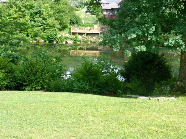118 Fredonia Road Manchester, TN 37355 - Photo 8 of 18 At rear end of lot is a wide stream/river. Peaceful setting!