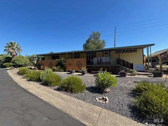 a view of a back yard with flower plants