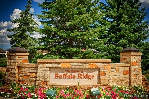 955 Buffalo Ridge Road Castle Pines, CO 80108 - Photo 2 of 30 Gallery Image 2