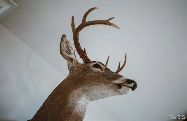 $1,699,000 | 246 West Westwind Drive, Wappapello, MO 63966