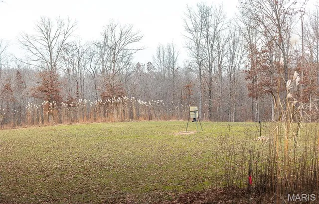 $1,699,000 | 246 West Westwind Drive, Wappapello, MO 63966