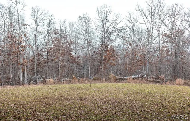 $1,699,000 | 246 West Westwind Drive, Wappapello, MO 63966