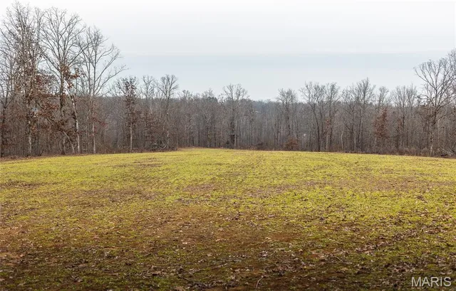 $1,699,000 | 246 West Westwind Drive, Wappapello, MO 63966