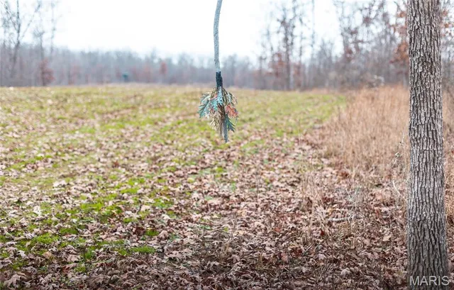 $1,699,000 | 246 West Westwind Drive, Wappapello, MO 63966