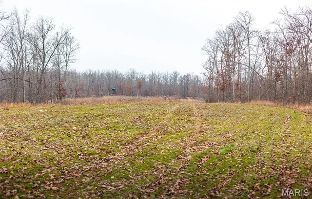 $1,699,000 | 246 West Westwind Drive, Wappapello, MO 63966