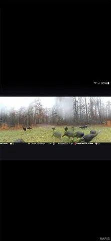 $1,699,000 | 246 West Westwind Drive, Wappapello, MO 63966