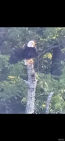 $1,699,000 | 246 West Westwind Drive, Wappapello, MO 63966