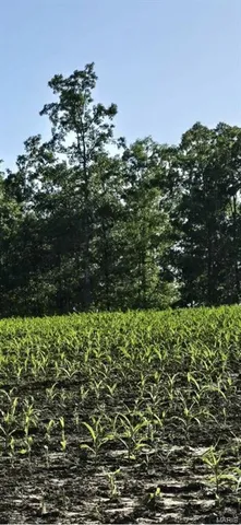 $1,699,000 | 246 West Westwind Drive, Wappapello, MO 63966