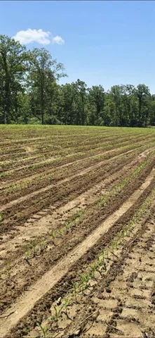 $1,699,000 | 246 West Westwind Drive, Wappapello, MO 63966