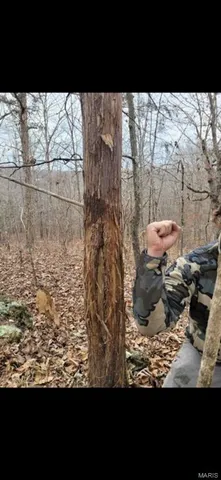 $1,699,000 | 246 West Westwind Drive, Wappapello, MO 63966