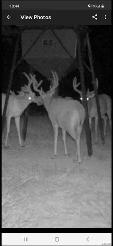 $1,699,000 | 246 West Westwind Drive, Wappapello, MO 63966