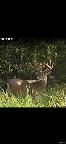 $1,699,000 | 246 West Westwind Drive, Wappapello, MO 63966