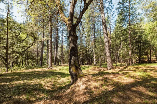 a view of outdoor space with trees