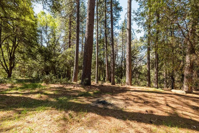 a view of outdoor space with trees