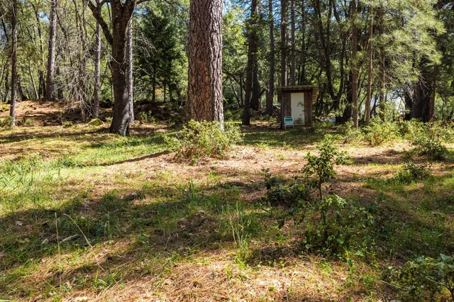 a view of outdoor space with trees