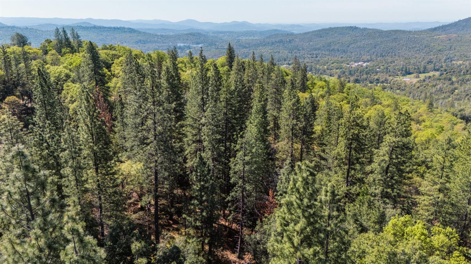 14737 Big Hill Road Sonora, CA 95370 - Photo 9 of 9 a view of a forest with a street