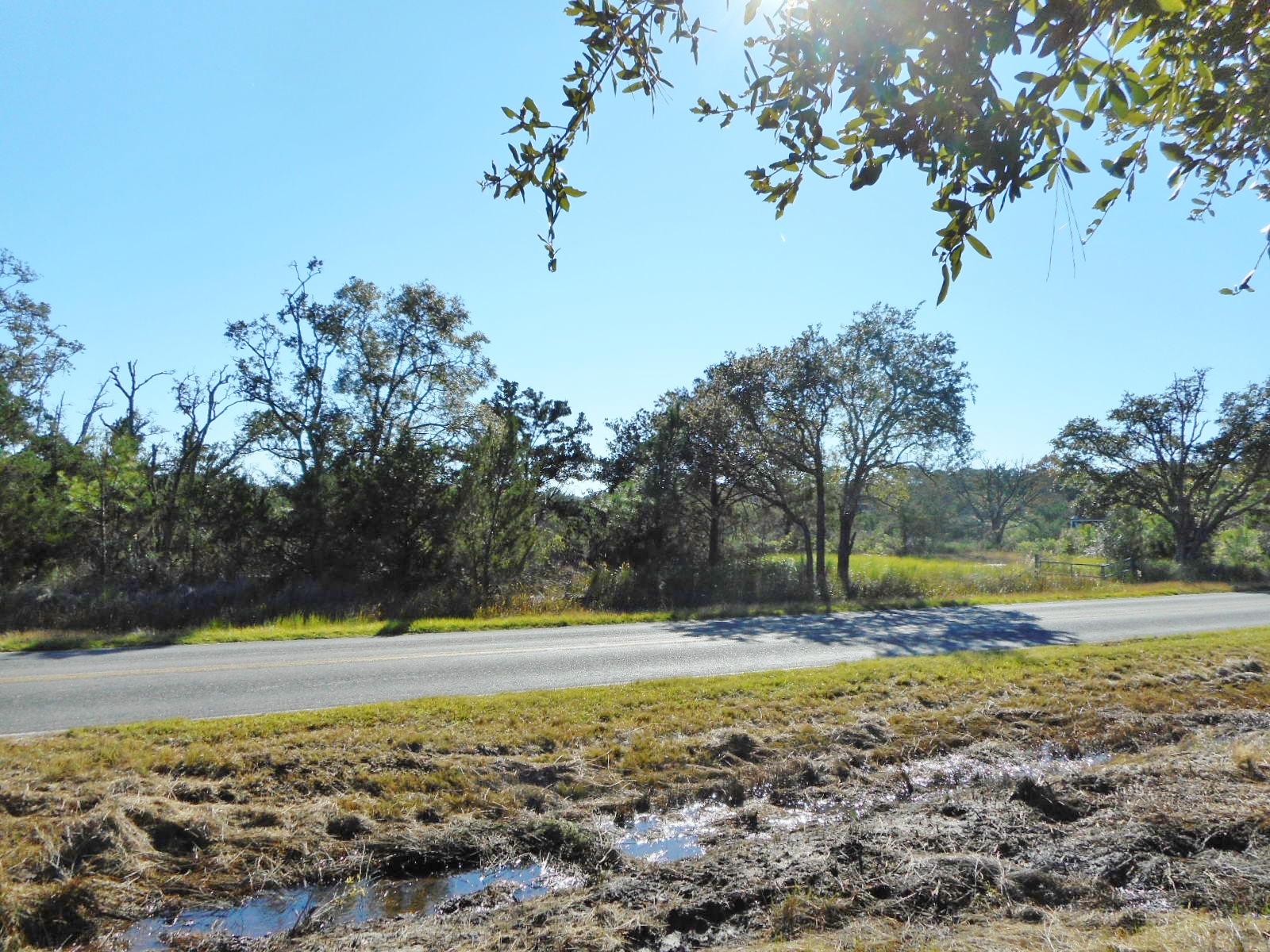 8246 Oyster Factory Road Edisto Island, SC 29438 - Photo 5 of 16 DSCN4163