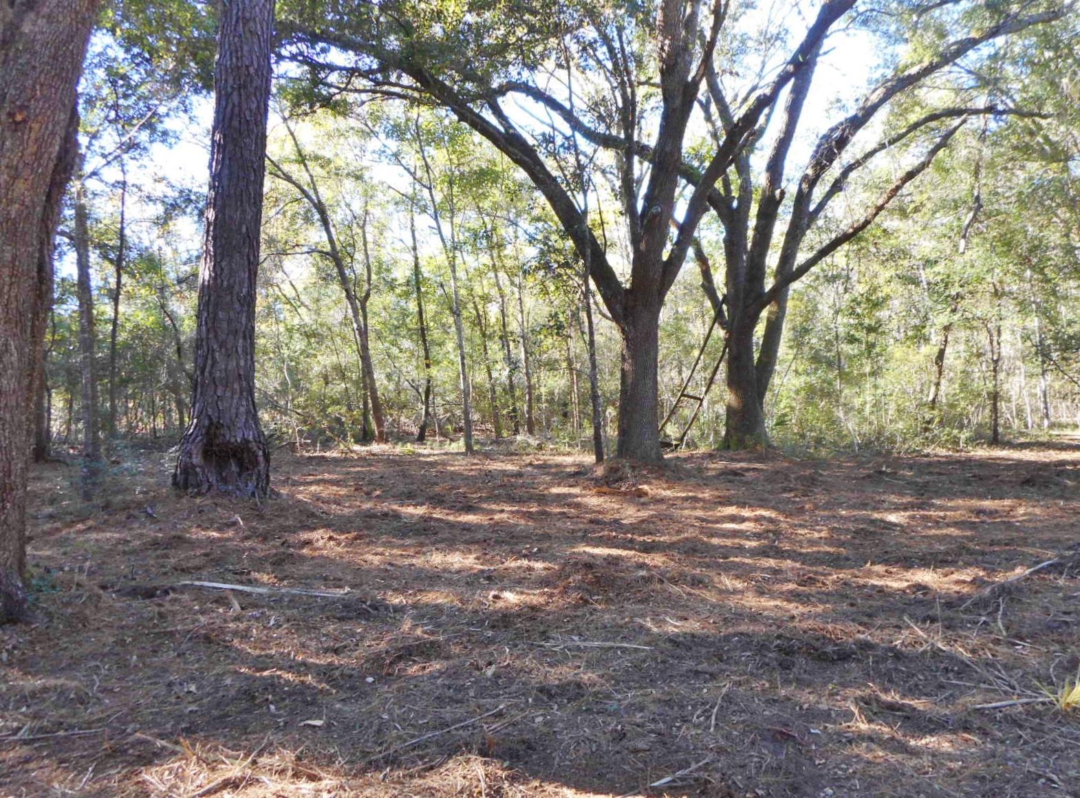 8246 Oyster Factory Road Edisto Island, SC 29438 - Photo 8 of 16 DSCN4166