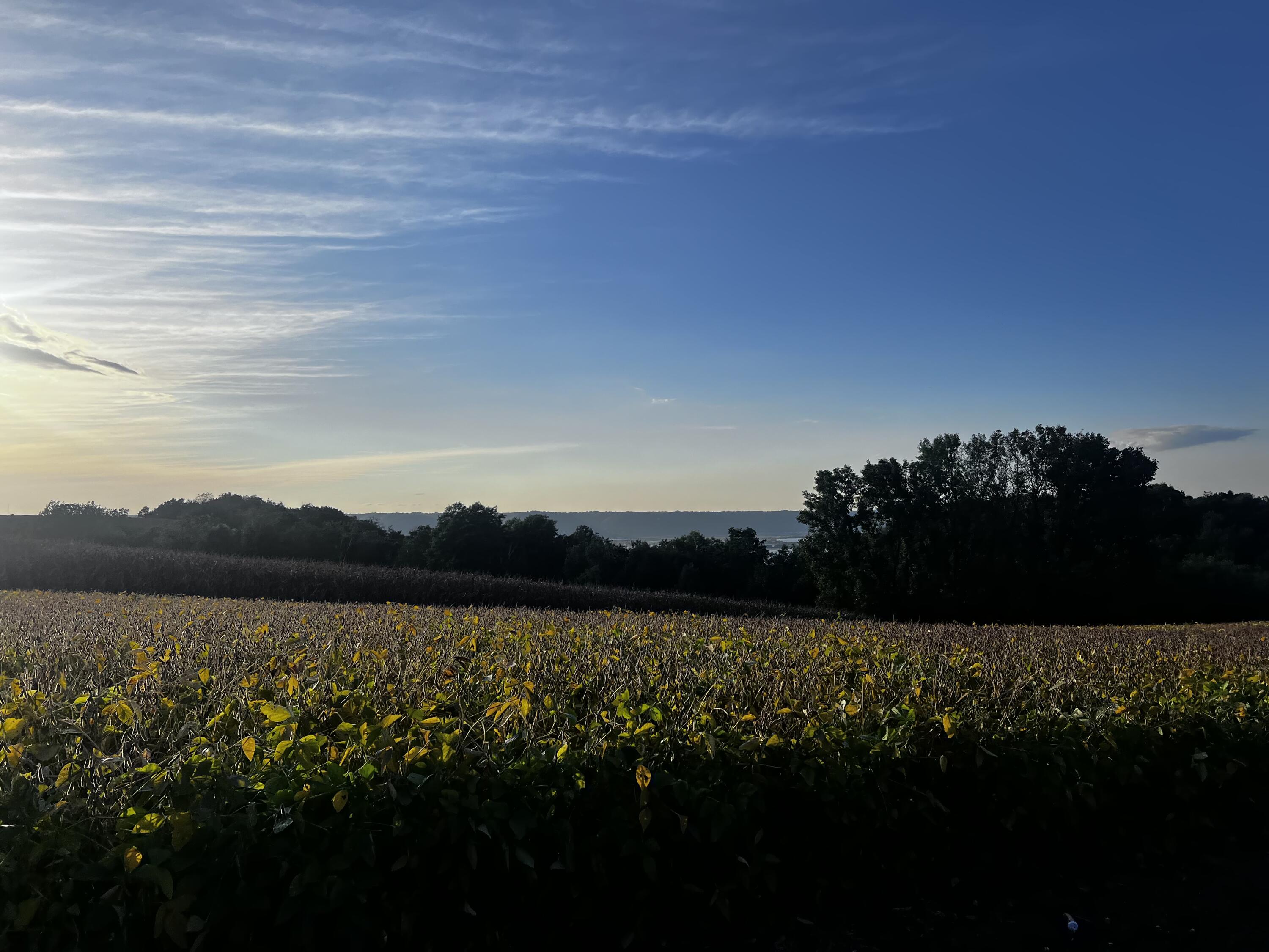 N1179 County Rd O Bergen, WI 54658 - Photo 26 of 31 IMG_9924