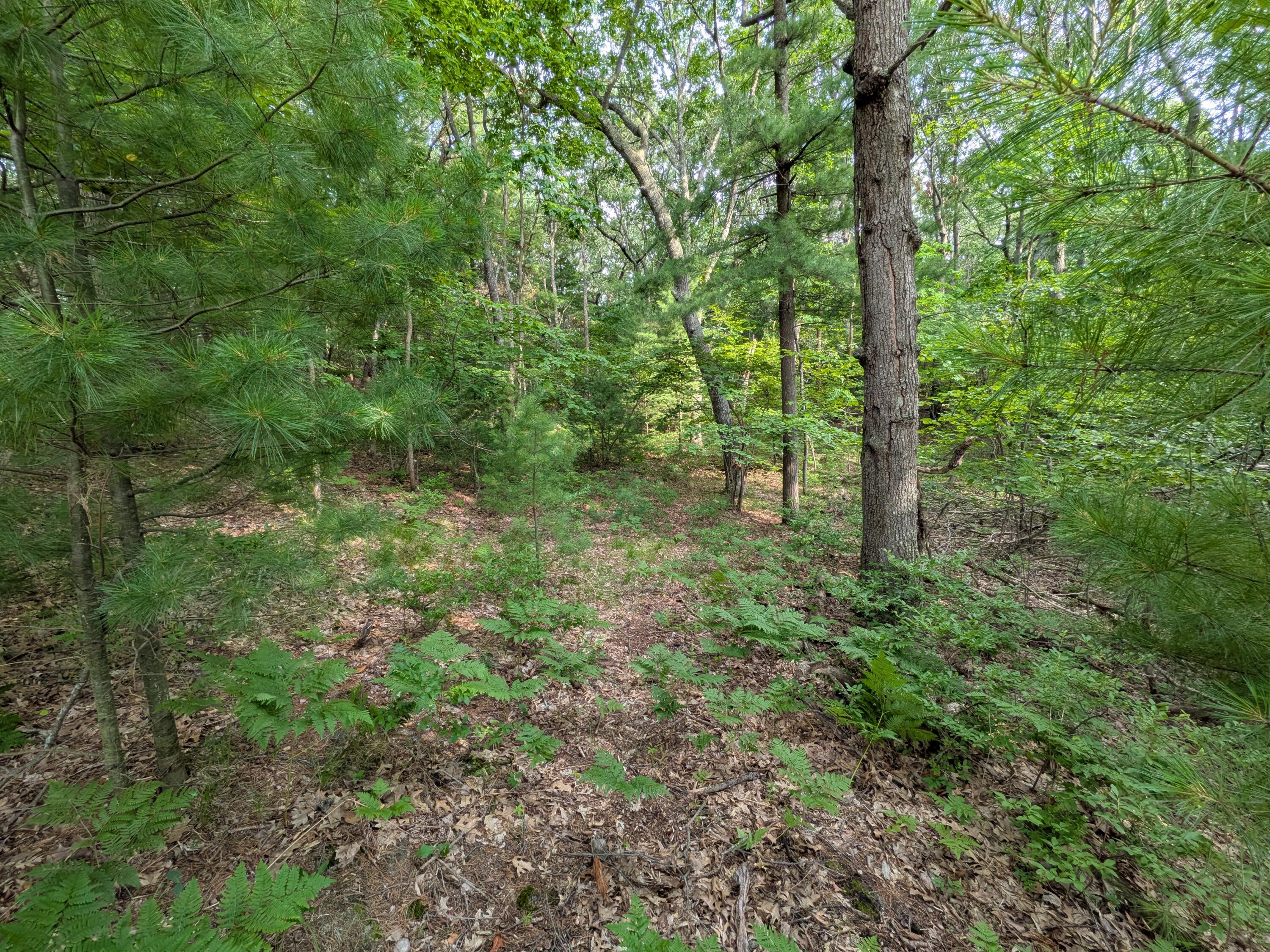 North Silver Ridge Road Mears, MI 49436 - Photo 4 of 11 PXL_20260705_215618392