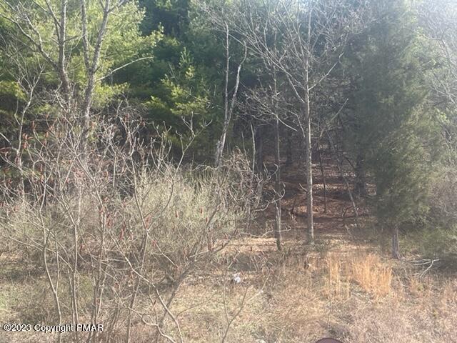 2650 57 Road Kunkletown, PA 18058 - Photo 6 of 6 IMG_2005