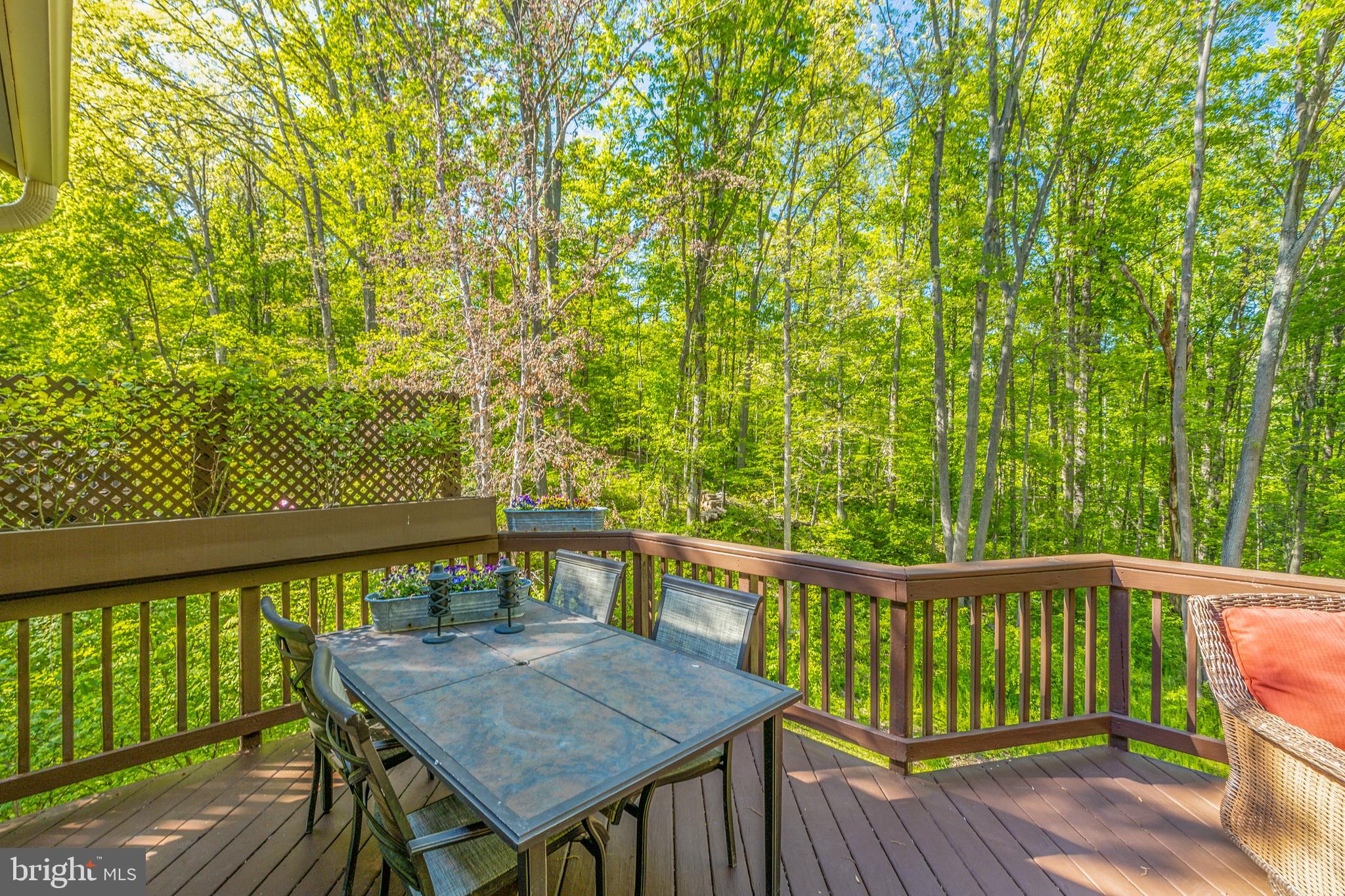 10726 Cross School Road Reston, VA 20191 - Photo 35 of 56