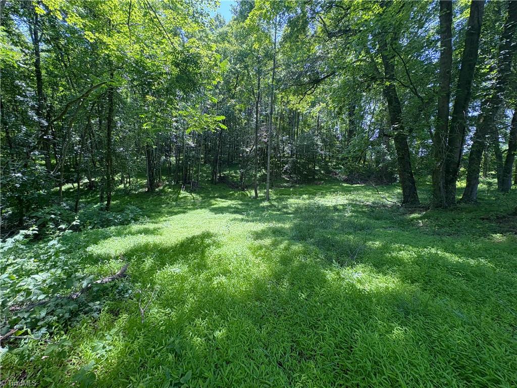 1261 Bethany Road Madison, NC 27025 - Photo 11 of 49