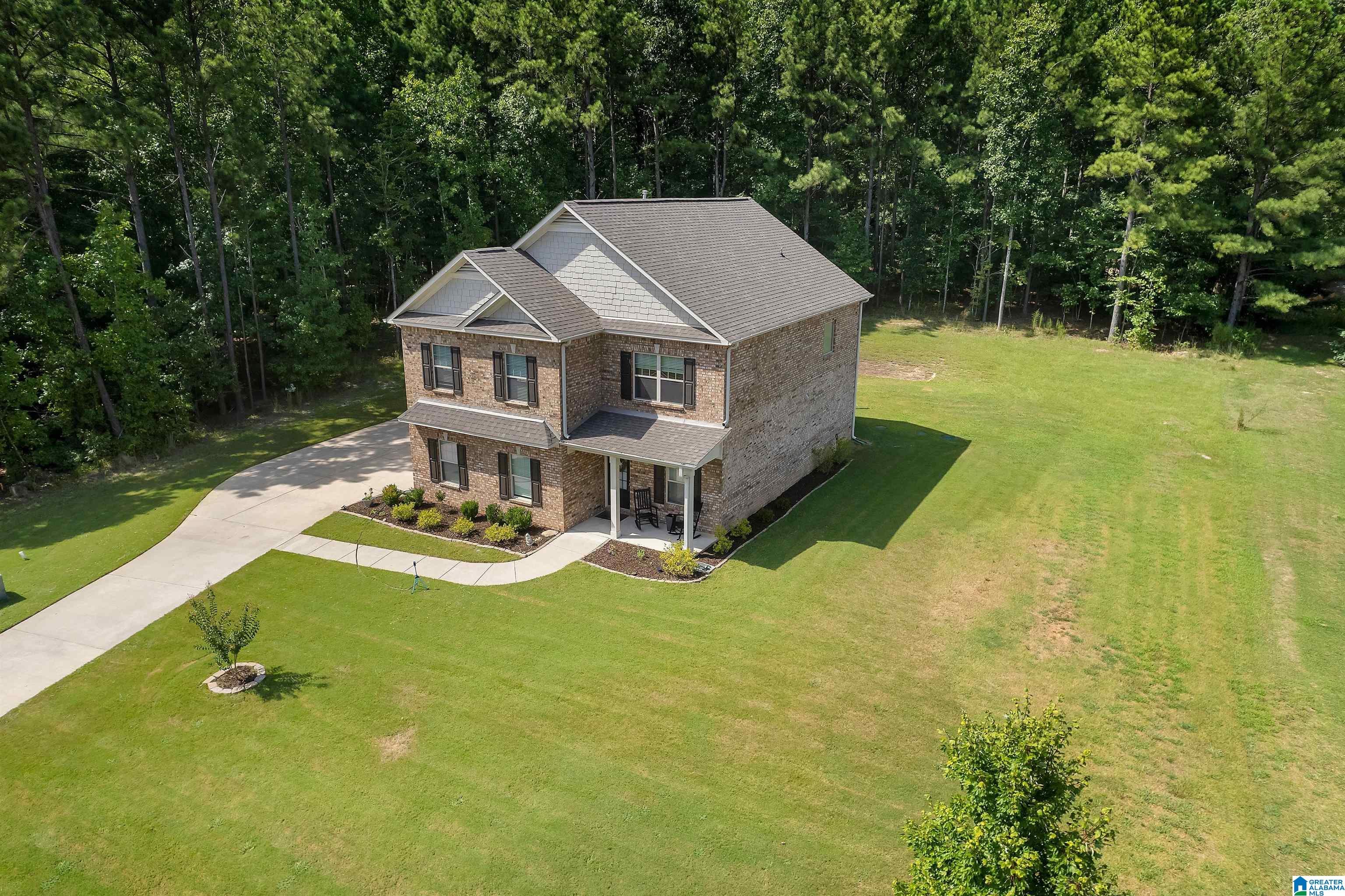 181 Ridgeline Drive Chelsea, AL 35043 - Photo 4 of 39 Gallery Image 4