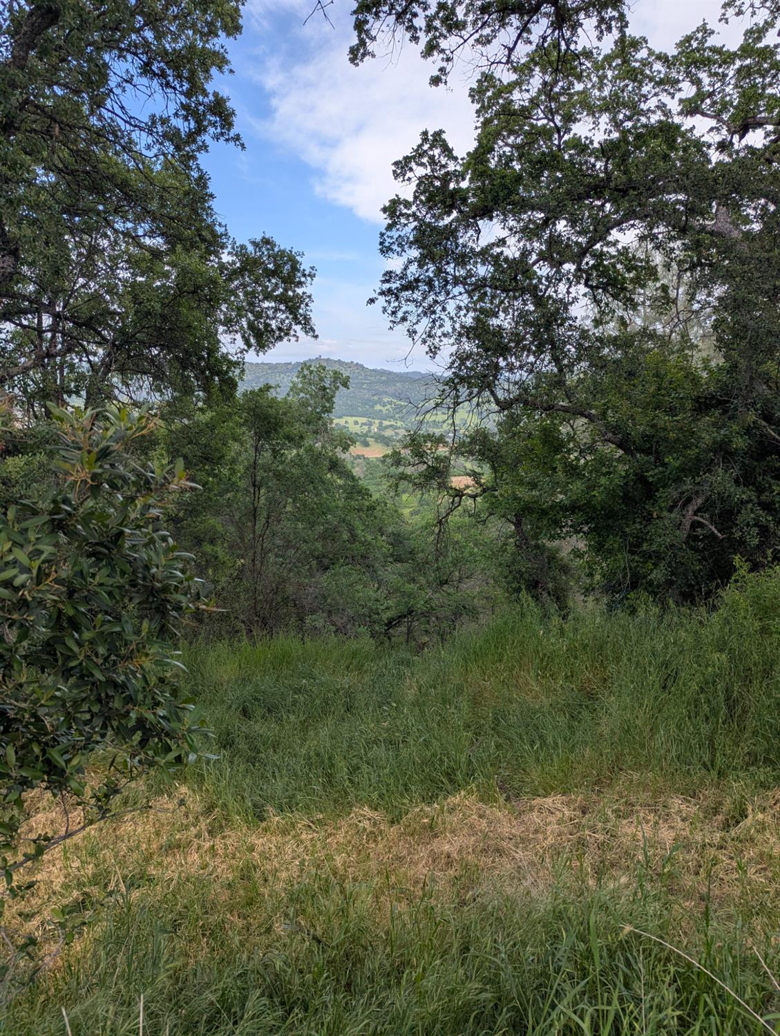 4625 Bayview Drive Copperopolis, CA 95228 - Photo 3 of 16