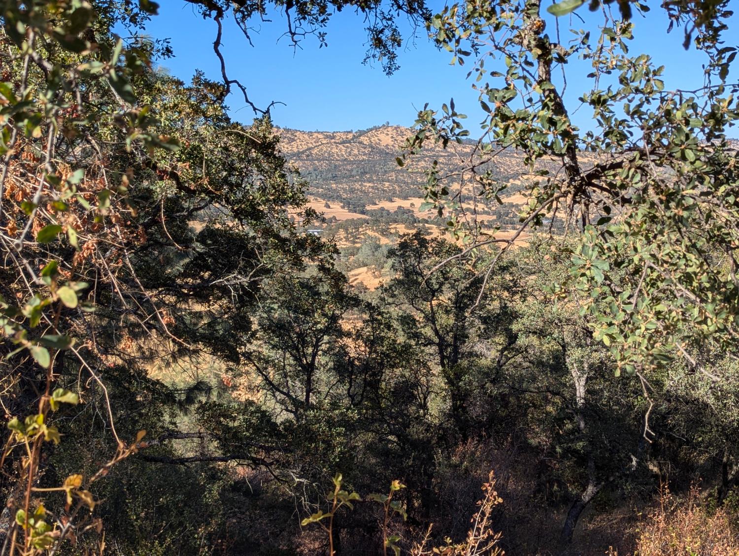 4625 Bayview Drive Copperopolis, CA 95228 - Photo 6 of 16 With some trees trimmed - even better views.