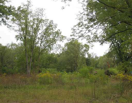 14751 Brick Road Granger, IN 46530 - Photo 3 of 6