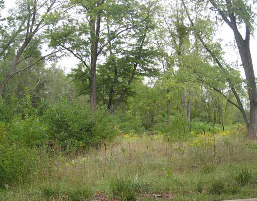 14751 Brick Road Granger, IN 46530 - Photo 5 of 6