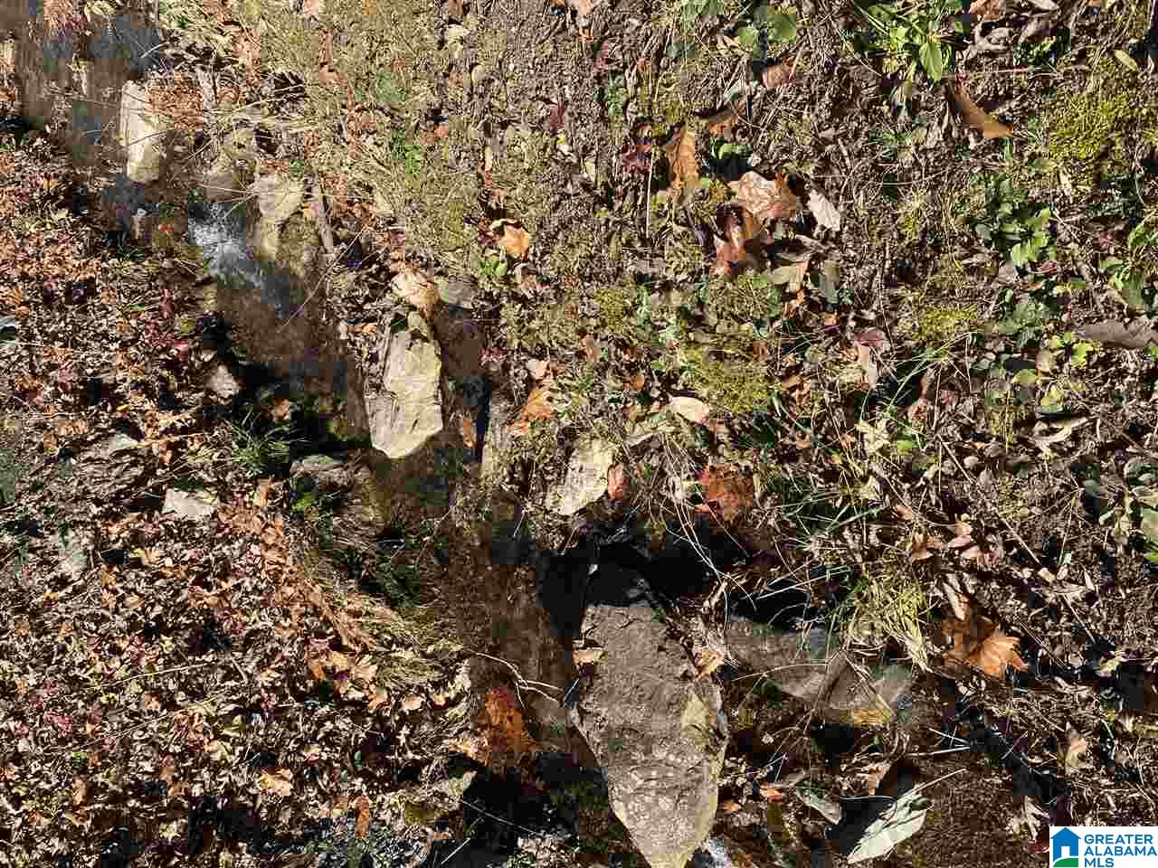 2260 Whites Gap Road Jacksonville, AL 36265 - Photo 11 of 25